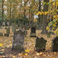  Friedhof Langenfelde