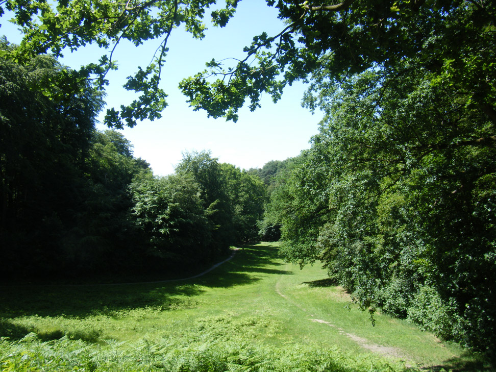 Schinckels Park 