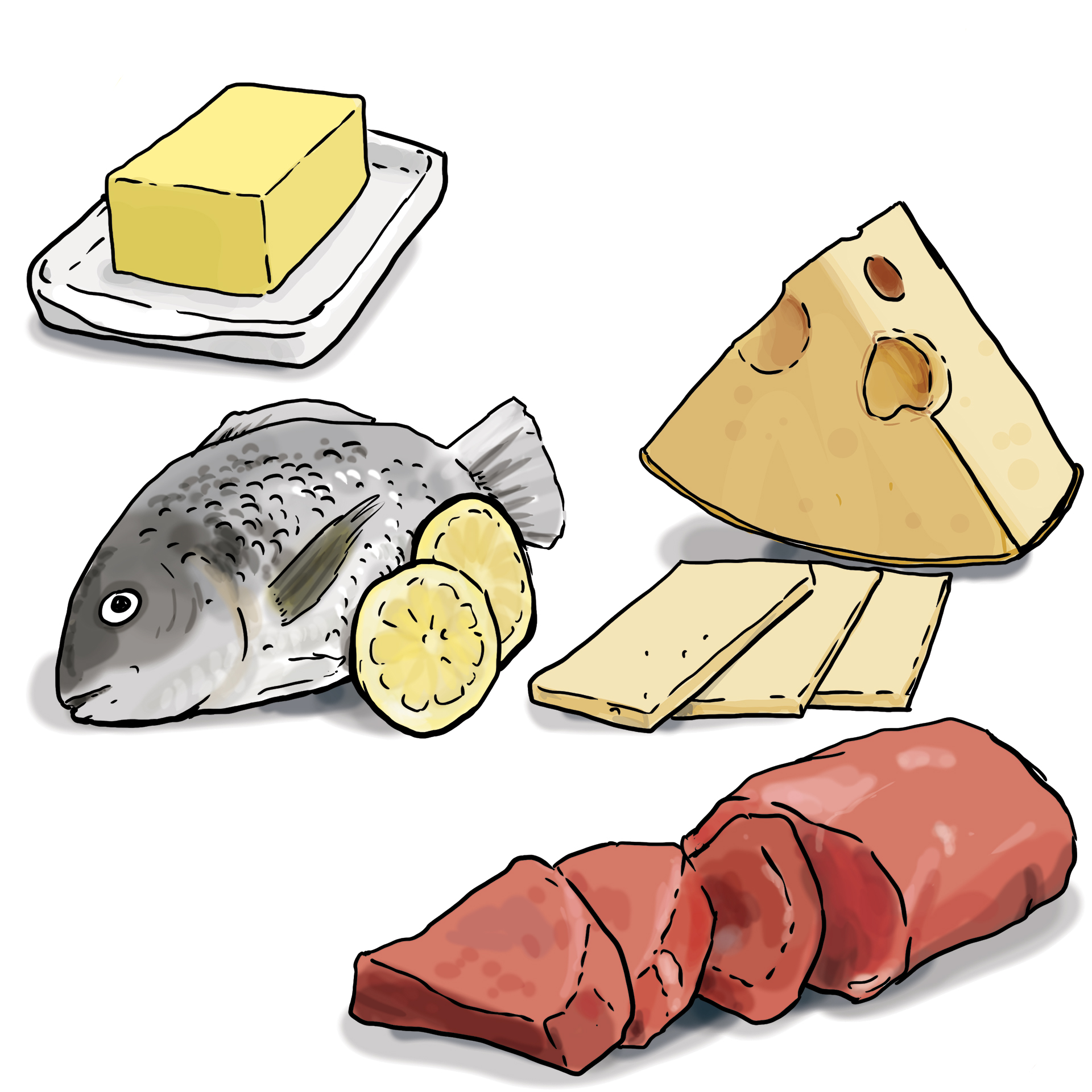 Verschiedene Lebensmittel wie Käse, Butter, Fisch und Fleisch