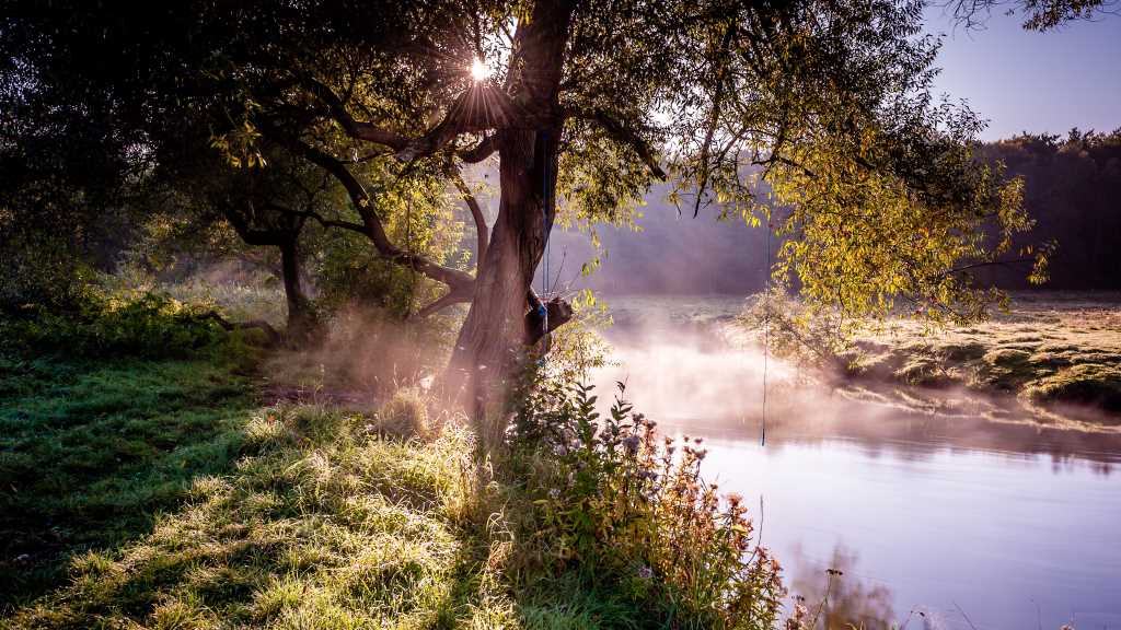 Ein Fluss fließt durch Wiesen und ist von Bäumen am Ufer umgeben. Es liegt Nebel auf dem Fluss, die Sonne scheint.