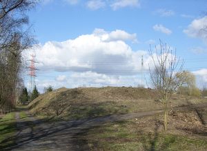Foto der gerodeten Hügeldeponie April 2006