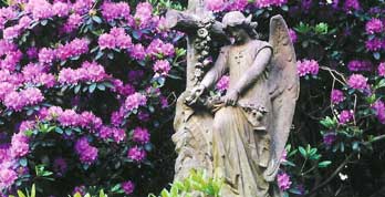 Bild vom Friedhof mit Pflanzen und Skulptur