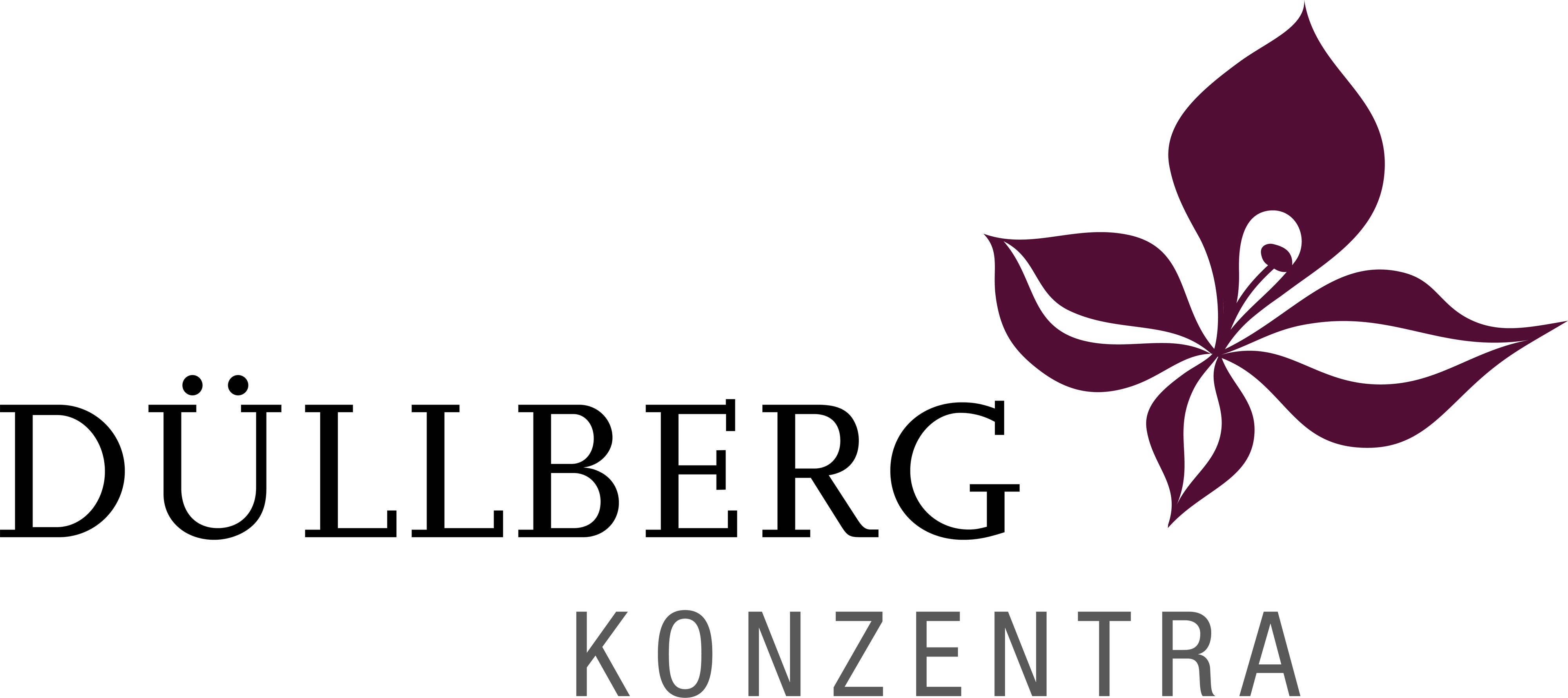 Düllberg Konzentra