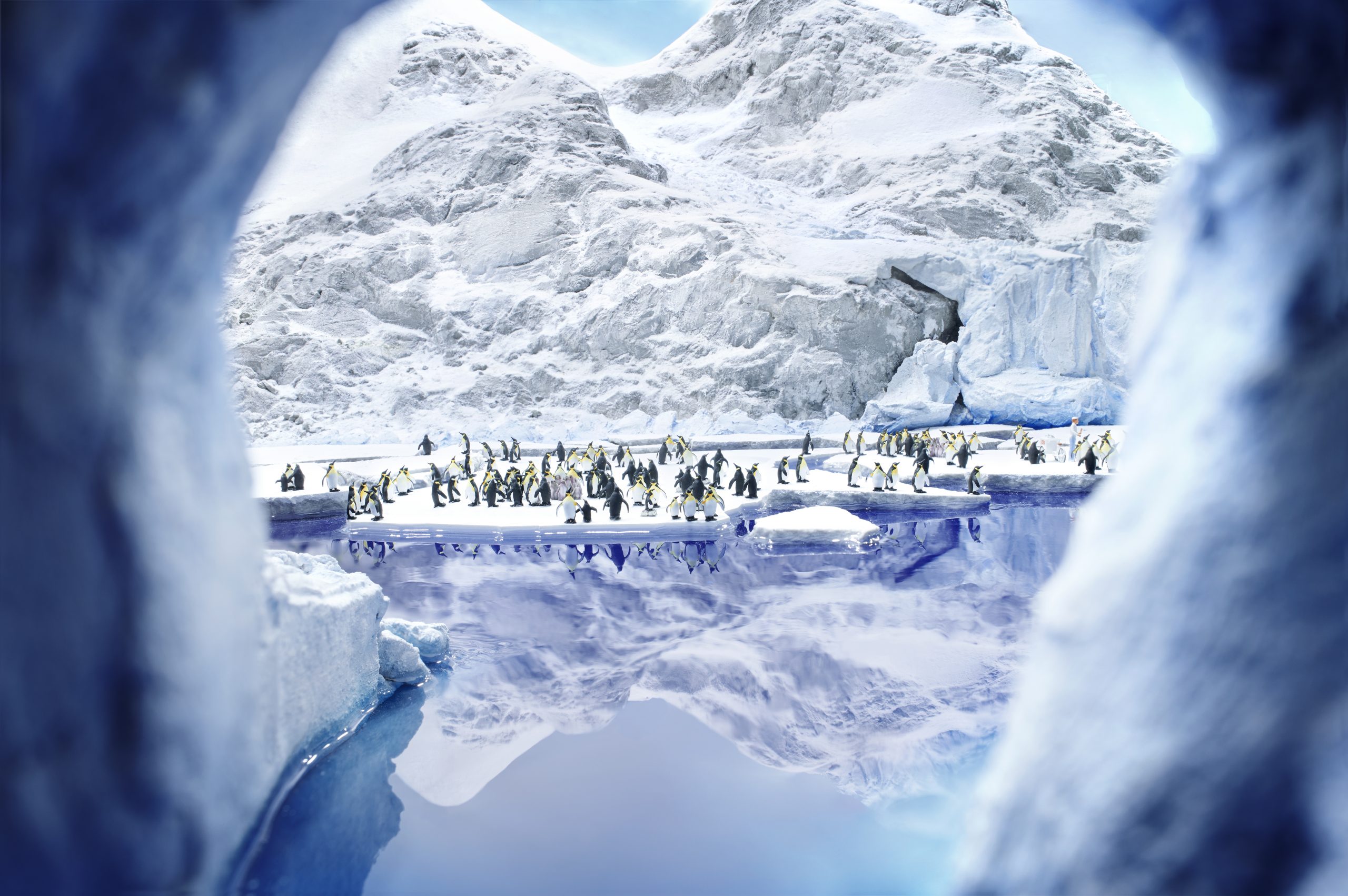 Es ist das Modell einer mit schnee- und eisbedeckten Landschaft zu sehen sowie ein See, an dem Pinguine stehen.