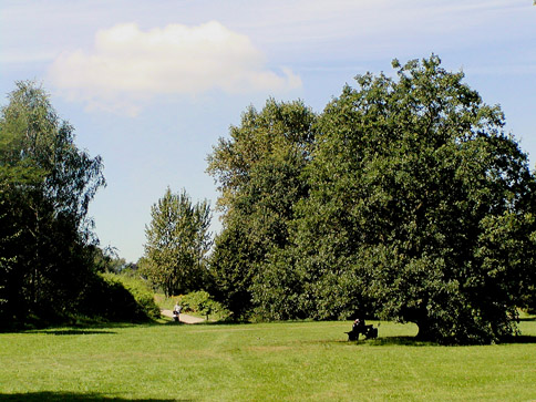 Lise-Meitner-Park