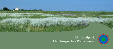 Nationalpark Hamburgisches Wattenmeer