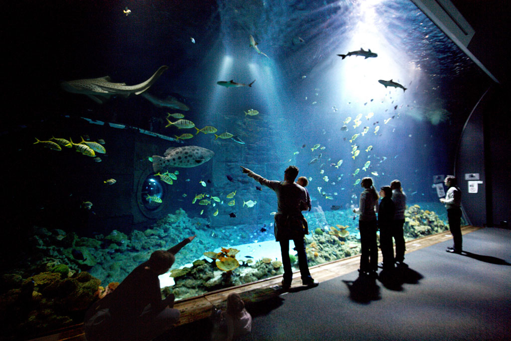 Tropen-Aquarium Hagenbeck