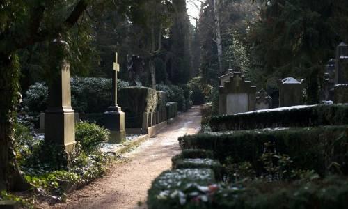 Friedhof mit Schotterweg und vielen Bäumen
