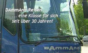 Bild eines blauen Busses mit grauem Schriftzug mit Firmenname und Slogan