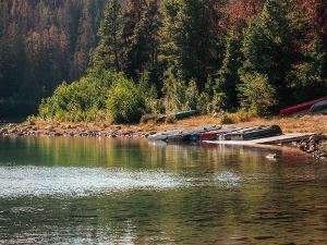 Kanus liegen am Ufer eines Sees, im Hintergrund eine Waldlandschaft