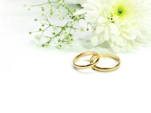 Zwei goldene Ringe liegen vor einer weisen Blume