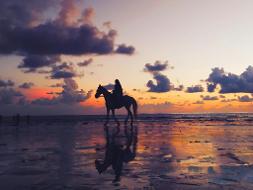 Person auf einem Pferd reitet bei Abenddämmerung am Strand entlang