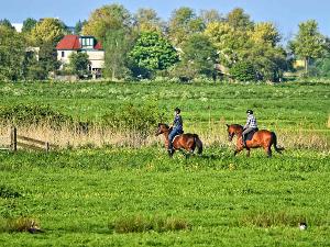 Zwei Personen sitzen auf jeweils einem Pferd und reiten über eine grüne Wiese