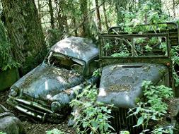 alte, verrostete Autos stehen in einem Waldstück