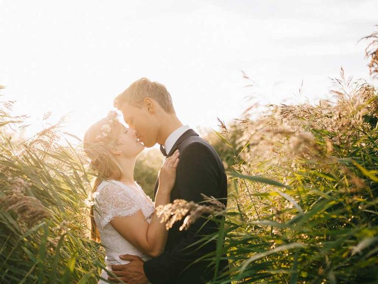 Mann und Frau stehen in einem Feld und küssen sich, Gegenlicht von der Sonne