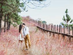 Mann und Frau halten sich die Hände und küssen sich in einem Feld mit rötlichen Gräsern