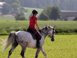 Ein Mädchen reitet auf einem Pferd über eine Wiese