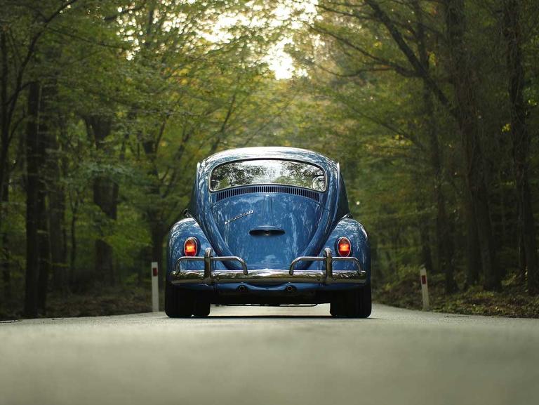 Ein blauer Käfer (Rückansicht) auf einer Straße, links und rechts Wald