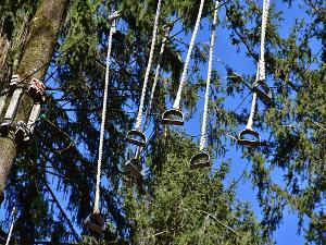 Steigbügel hängen an Seilen in einem Wald
