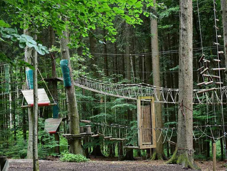 Seile und Brücken an Seilen hängen quer verteilt durch den Wald