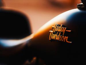 Der Schriftzug Harley Davidson auf einem Motorrad- in der Nahaufnahme