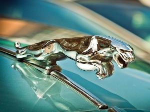 SIlberne Figur eines Jaguars auf der Motorhaube eines Autos