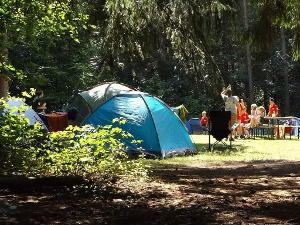 Zelte stehen auf einer Wiese zwischen Bäumen