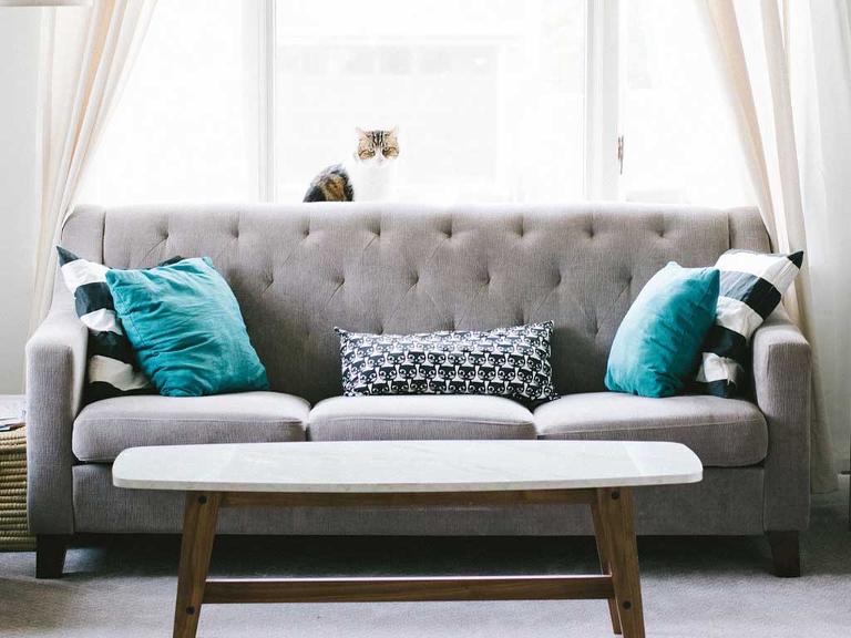 Ein graues Sofa mit Kissen darauf liegend steht vor einem Fenster