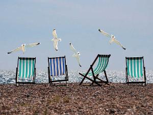 Vier Liegestühle stehen am Wasser auf dem Sand, darüber fliegen vier Möwen