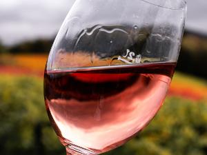 Ein mit Rotwein gefülltes Weinglas in der Nahaufnahme