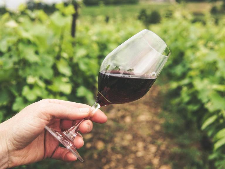 Eine Hand hält ein Glas, gefüllt mit Wein schräg, im Hintergrund Weinpflanzen