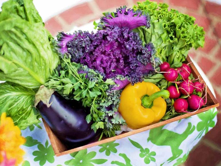 Ein Korb gefüllt mit Gemüse- Paprika, Aubergine, Salaten und Radieschen
