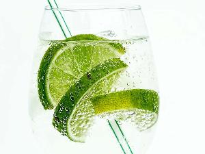 Limonenscheiben und ein Trinkhalm in einem Glas gefüllt mit Wasser