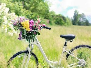 Ein Fahrrad steht auf einer grünen Wiese und hat am Lenker einen Korb befestigt der mit Blumen gefüllt ist