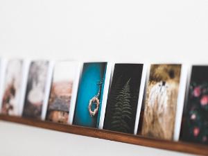 Verschiedene Fotodrucke stehen nebeneinander auf einem Holzbrett an der Wand