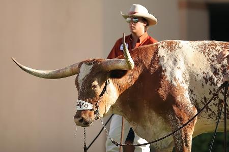 Ein Mann mit Hut und Sonnenbrille führt einen Stier