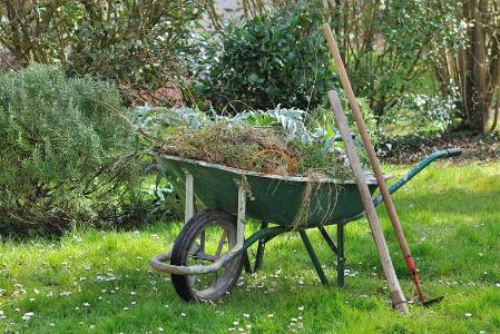 Eine mit Gartenabfällen gefüllte Schubkarre steht auf grünem Rasen