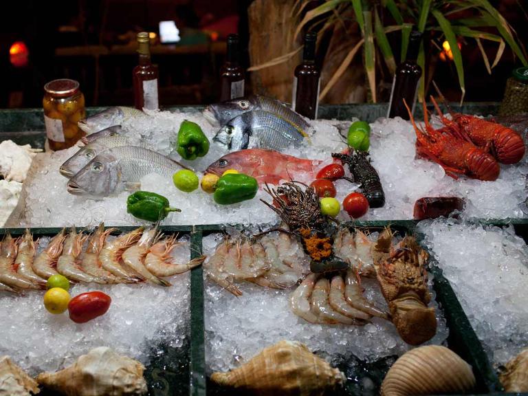 verschiedene Meeresfrüchte in einem Restaurant in der Auslage auf Eis liegend