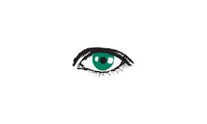 Optik Heidig GmbH Logo, ein grünes Auge