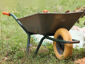 Eine Schubkarre, gefüllt mit Ästen steht auf einem Rasen