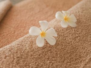 Zwei weiße Blüten liegen auf einem beigefarbenen Handtuch
