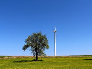 Ein Baum steht neben vor einem Windrad auf einer grünen Wiese unter blauem Himmel