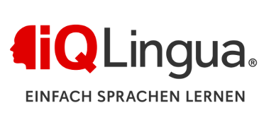 iQ Lingua Logo, rote und schwarze Schrift auf grauem Untergrund