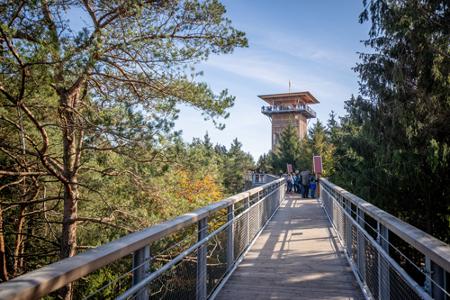 Höchster Baumwipfelpfad Norddeutschlands, Holzturm mit Aussicht über die Landschaft
