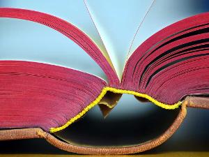 Ein aufgeschlagenes Buch mit roten Rändern, braunem Einband und gelber Bordüre