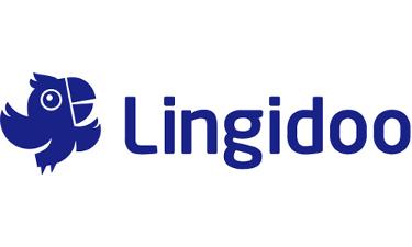 Lingidoo Logo, blaue Schrift und blauer Papagei auf weißem Untergrund