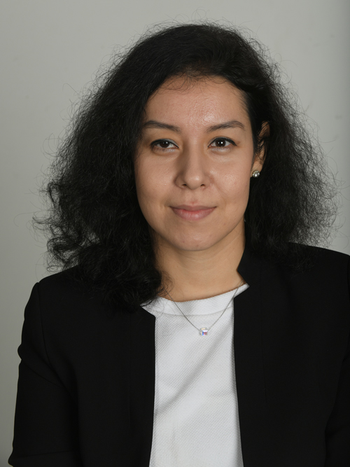 Portraitfoto von Frau Dr. Munira Halimjanova