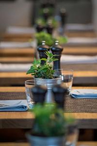 Silberne Töpfe mit Grünpflanzen stehen auf einem Holztisch zwischen Tischsets