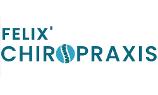 Das Logo der Felix' Chiropraxis, ein Abbild einer Wirbelsäule in blau in einem grünen Kreis und darunter steht in grüner Schrift Felix' Chiropraxis