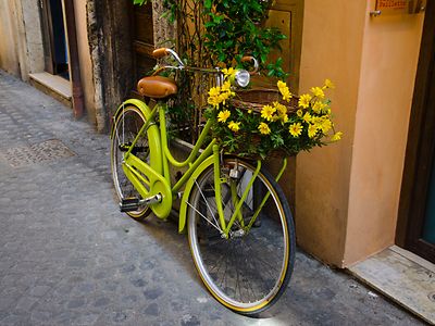  Fahrrad mit Blumen 